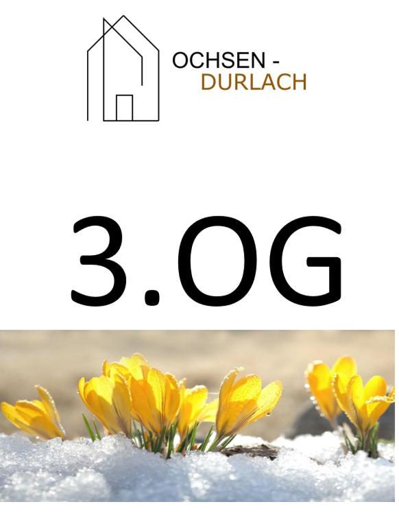 Ochsen-Durlach 卡尔斯鲁厄 客房 照片