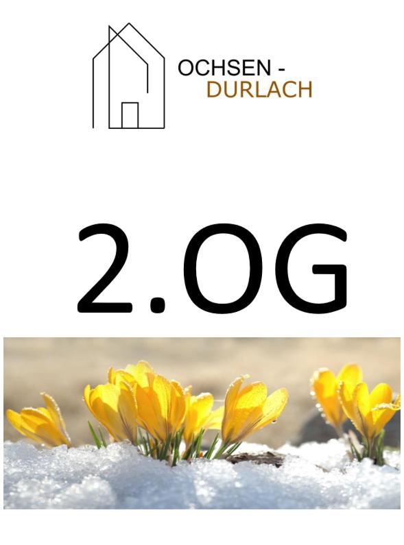 Ochsen-Durlach 卡尔斯鲁厄 外观 照片