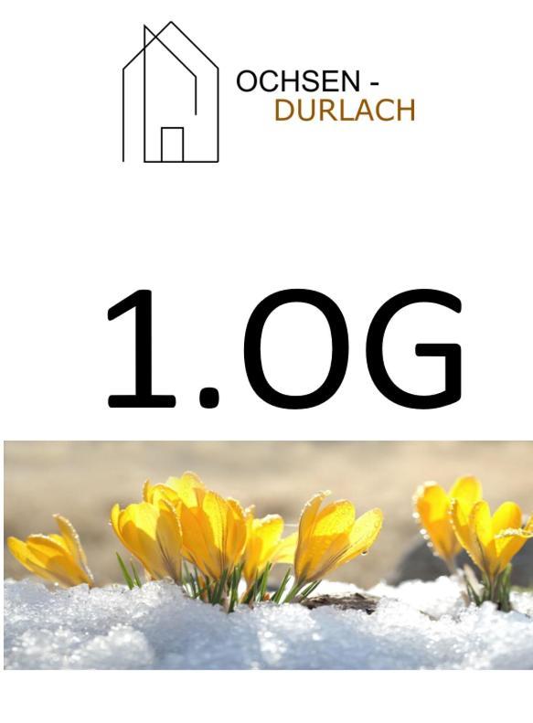 Ochsen-Durlach 卡尔斯鲁厄 外观 照片